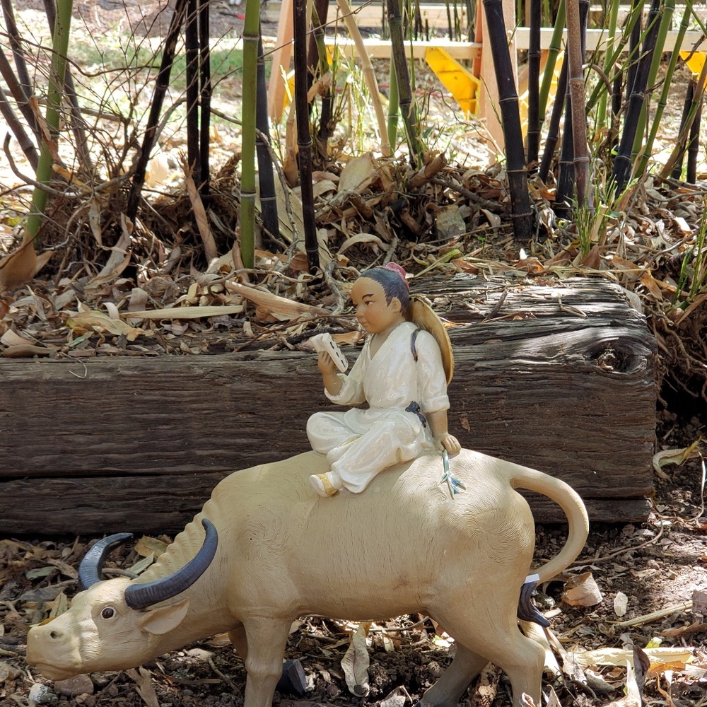 Clay Bull, with rider